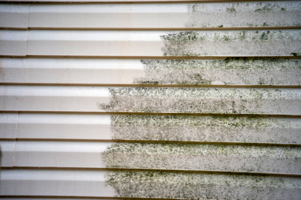 Best Foreclosure Cleanout  in Otsego, MI
